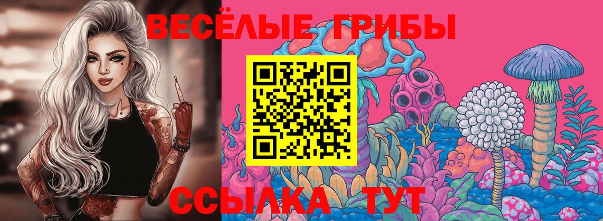 Псилоцибиновые грибы ЛСД  Вход с VPN  Кыштым  Псилоцибиновые грибы Magic Shrooms 