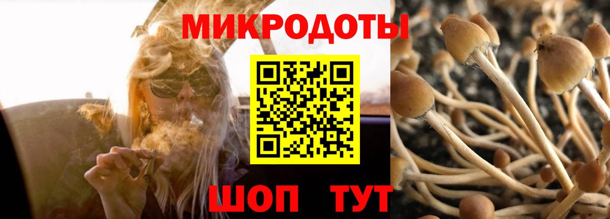 Псилоцибиновые грибы Psilocybe Кыштым